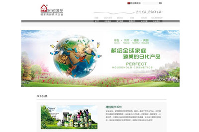 安安国际网站建设项目